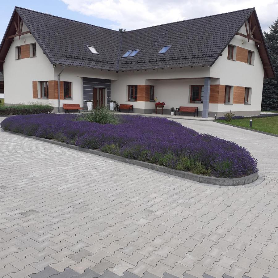 Agroturystyka Aura Kostrzyca Exterior photo
